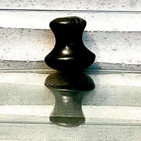 Champignon serpentine noire